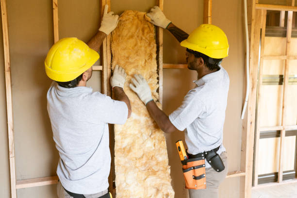 Best Spray Foam Insulation  in Hull, IA