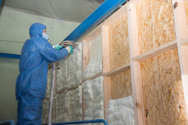 Best Affordable Insulation Services  in Hull, IA