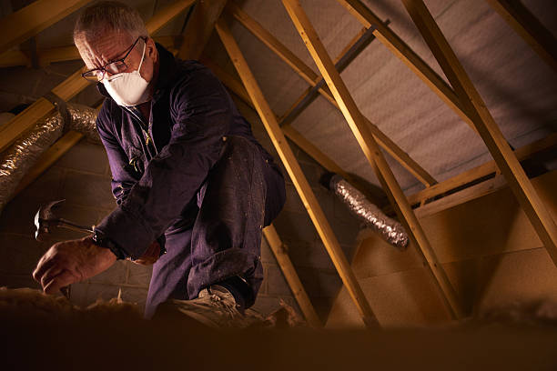 Best Residential Insulation Services  in Hull, IA
