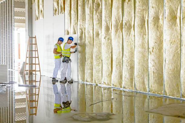 Best Professional Insulation Contractor  in Hull, IA